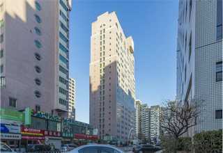 津南区国产铁削砂浆常见问题