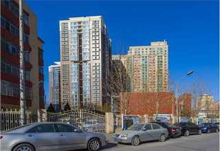 南京耐思（NEST)96孔细胞培养板V底