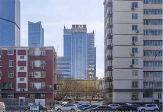 南山区家庭阳台种菜盆有哪些